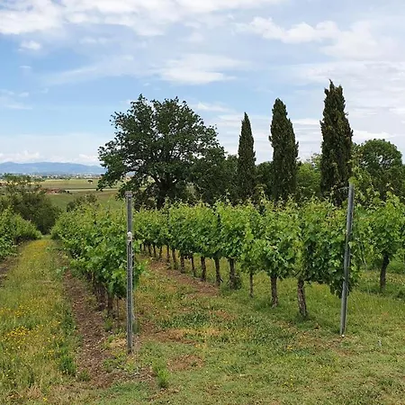 Vacanze Sant Andrea *