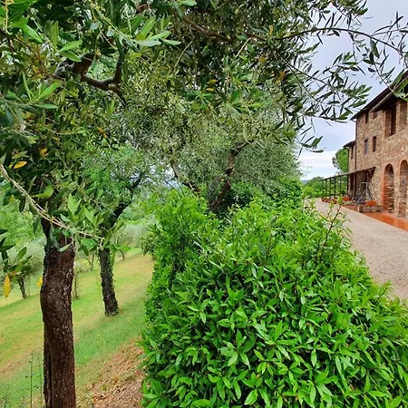 Vacanze Sant Andrea Apartamento Paciano