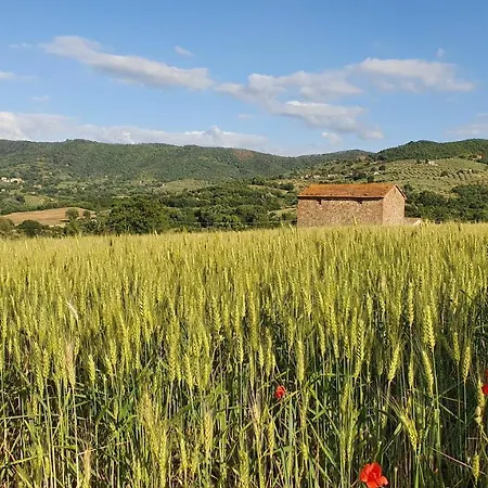 Vacanze Sant Andrea *