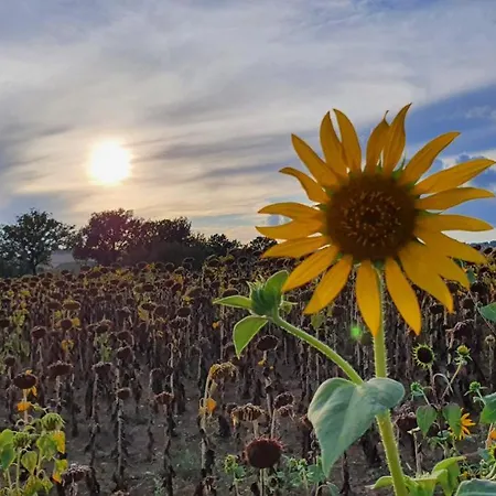 Apartamento Vacanze Sant Andrea Paciano