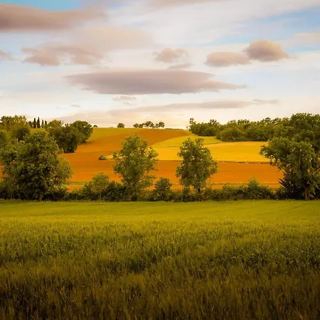 Vacanze Sant Andrea Apartamento