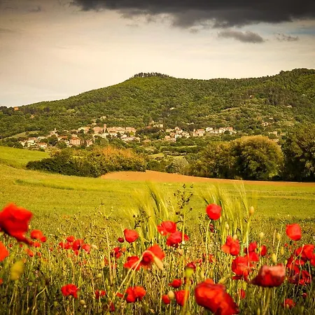 Vacanze Sant Andrea Apartamento Paciano