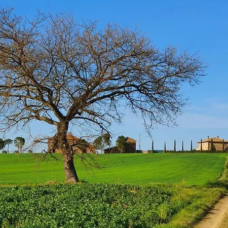 Vacanze Sant Andrea Apartment Paciano