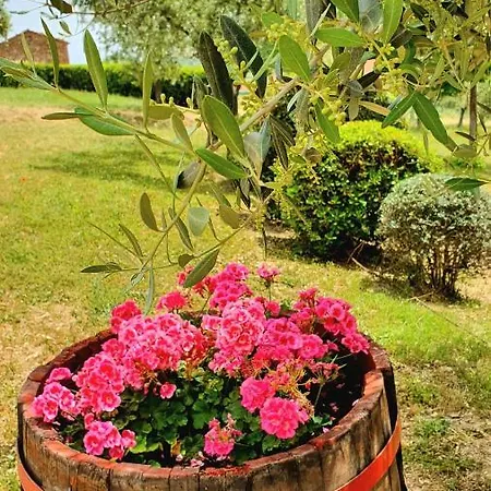 Vacanze Sant Andrea Apartamento Paciano