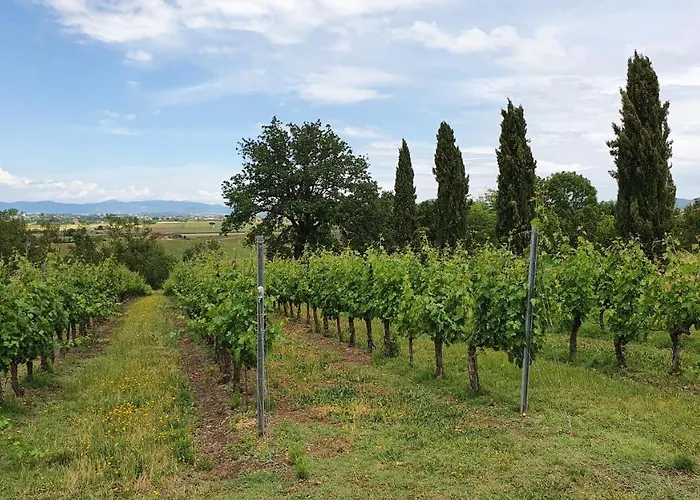 Vacanze Sant Andrea *