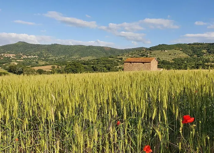 Vacanze Sant Andrea *