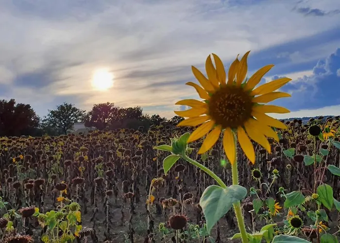 Apartamento Vacanze Sant Andrea Paciano
