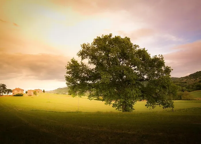 Vacanze Sant Andrea * Paciano