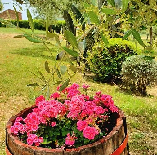 Vacanze Sant Andrea Lejlighed Paciano